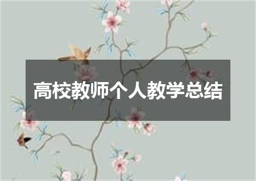 高校教师个人教学总结