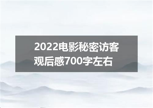 2022电影秘密访客观后感700字左右