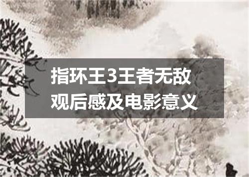 指环王3王者无敌观后感及电影意义