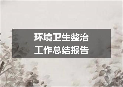 环境卫生整治工作总结报告