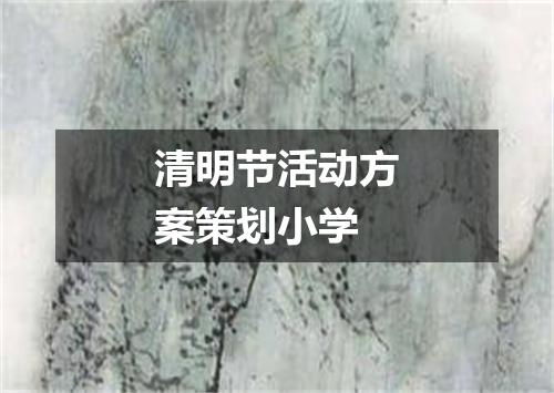 清明节活动方案策划小学