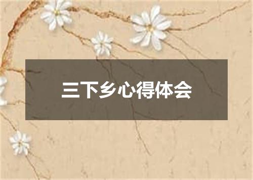 三下乡心得体会