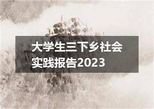 大学生三下乡社会实践报告2023