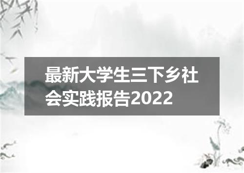最新大学生三下乡社会实践报告2022