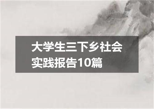 大学生三下乡社会实践报告10篇