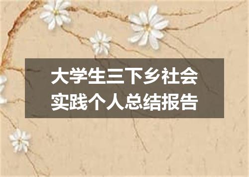 大学生三下乡社会实践个人总结报告