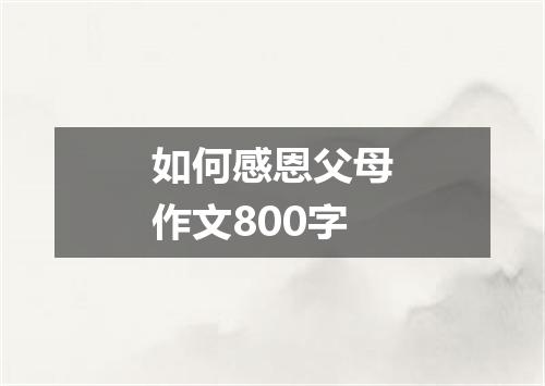 如何感恩父母作文800字