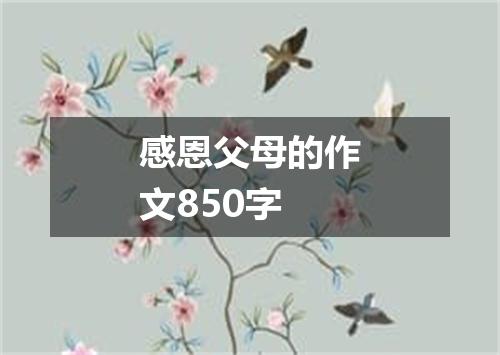 感恩父母的作文850字