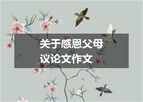 关于感恩父母议论文作文