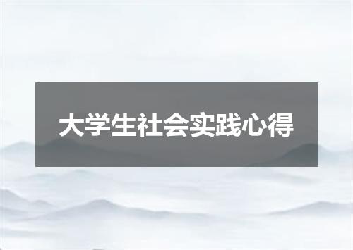 大学生社会实践心得