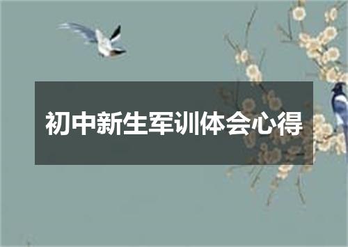 初中新生军训体会心得