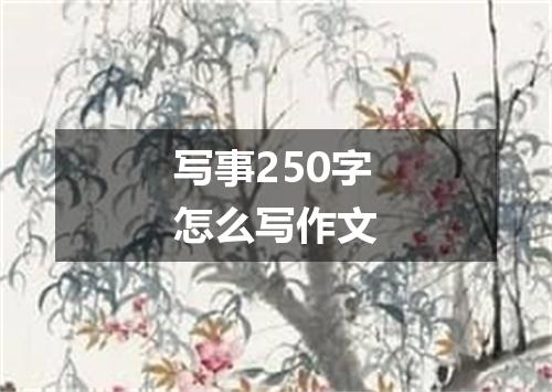 写事250字怎么写作文