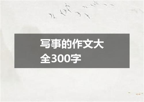 写事的作文大全300字