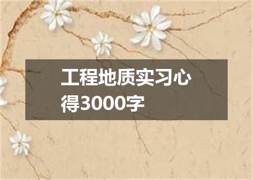 工程地质实习心得3000字