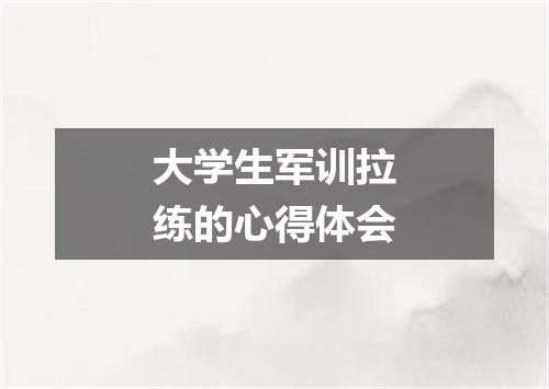 大学生军训拉练的心得体会