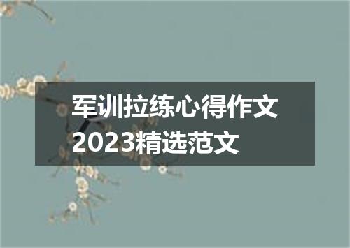 军训拉练心得作文2023精选范文