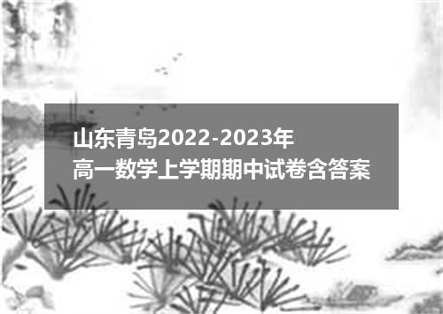 山东青岛2022-2023年高一数学上学期期中试卷含答案