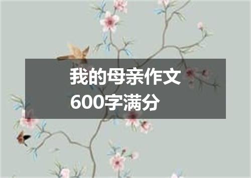 我的母亲作文600字满分