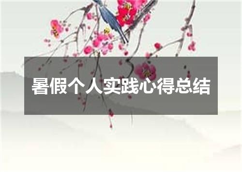 暑假个人实践心得总结