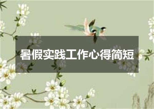 暑假实践工作心得简短