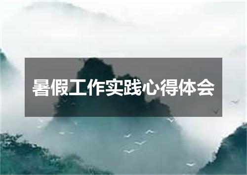 暑假工作实践心得体会