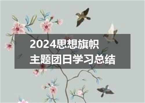 2024思想旗帜主题团日学习总结
