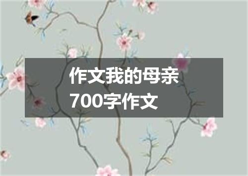 作文我的母亲700字作文