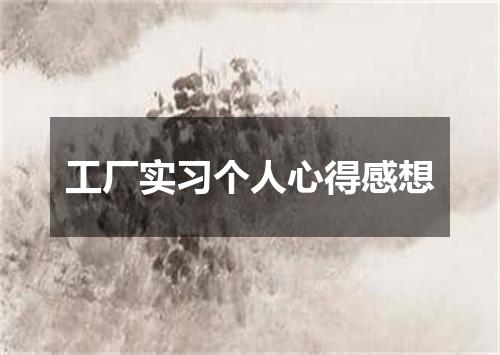工厂实习个人心得感想