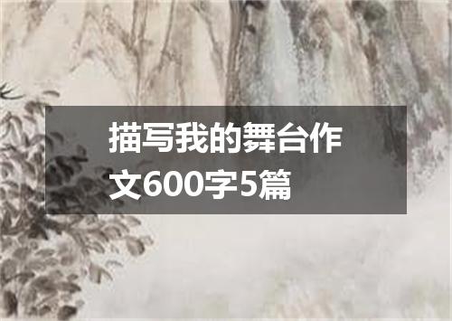 描写我的舞台作文600字5篇