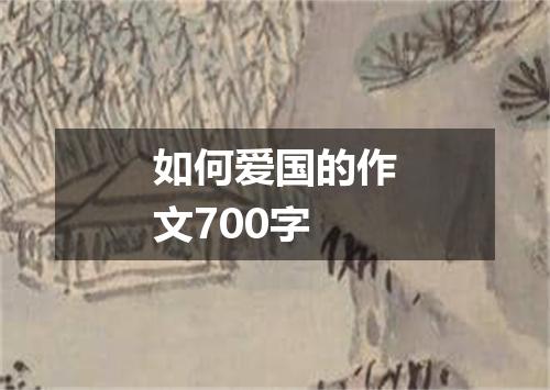 如何爱国的作文700字