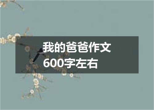 我的爸爸作文600字左右