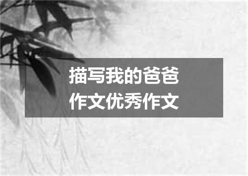 描写我的爸爸作文优秀作文