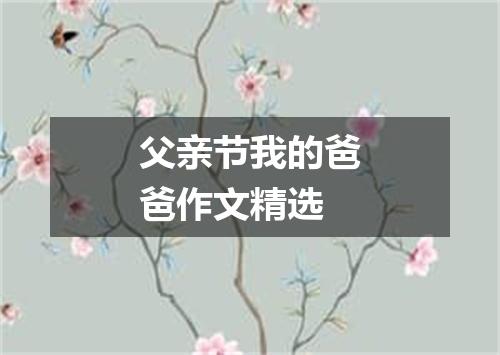 父亲节我的爸爸作文精选