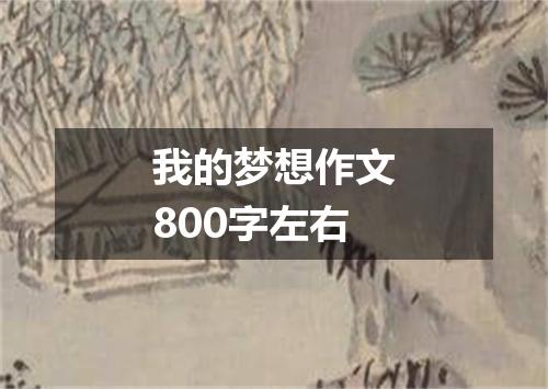 我的梦想作文800字左右