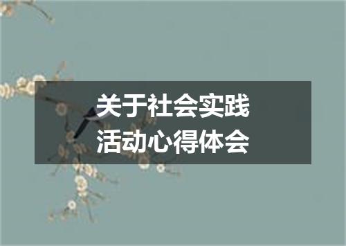 关于社会实践活动心得体会
