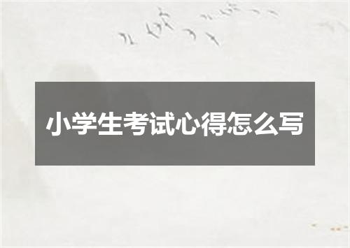 小学生考试心得怎么写