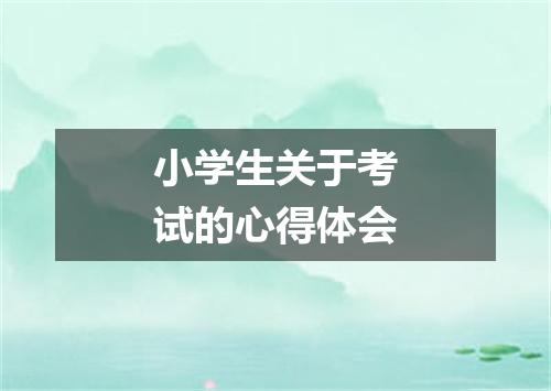 小学生关于考试的心得体会
