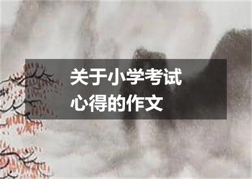 关于小学考试心得的作文