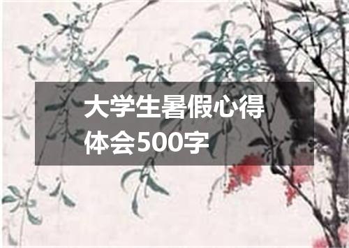 大学生暑假心得体会500字