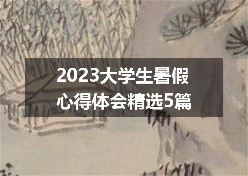 2023大学生暑假心得体会精选5篇