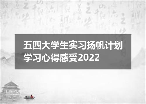五四大学生实习扬帆计划学习心得感受2022