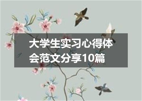 大学生实习心得体会范文分享10篇