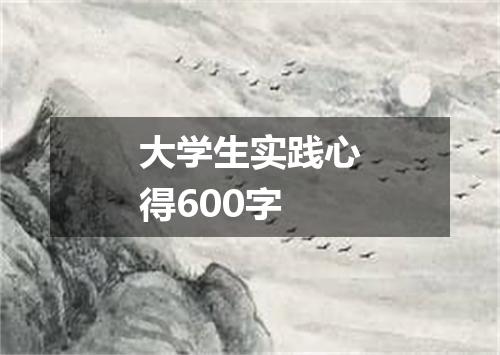大学生实践心得600字