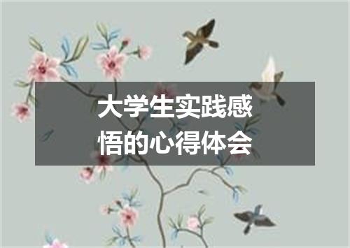 大学生实践感悟的心得体会