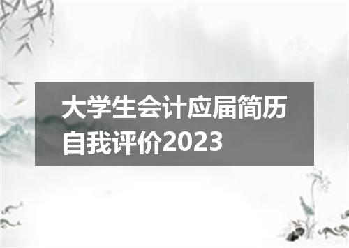 大学生会计应届简历自我评价2023