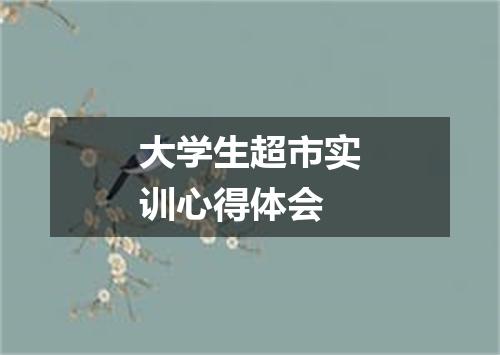 大学生超市实训心得体会