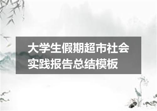 大学生假期超市社会实践报告总结模板