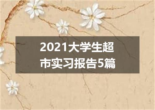 2021大学生超市实习报告5篇