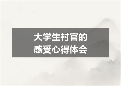 大学生村官的感受心得体会