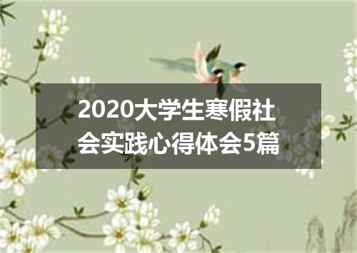 2020大学生寒假社会实践心得体会5篇
